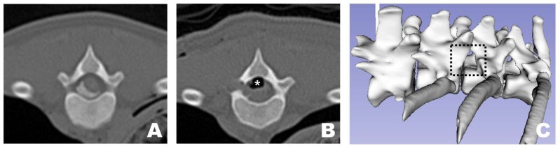 Figure 10