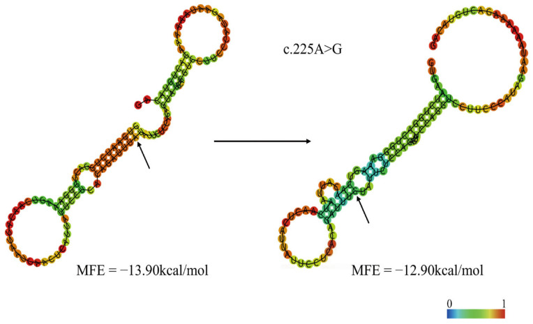Figure 9