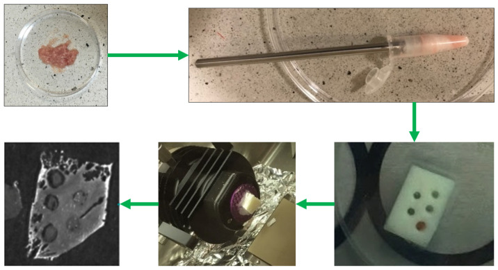 Figure 10