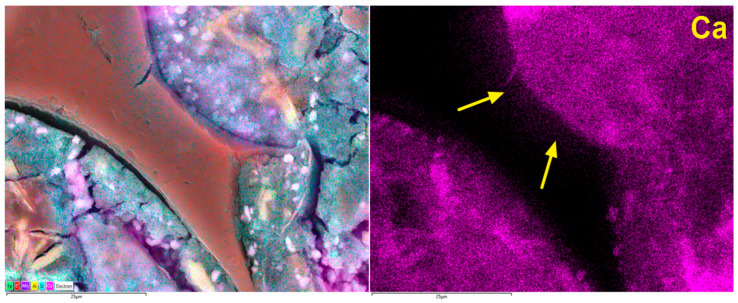 Figure 21