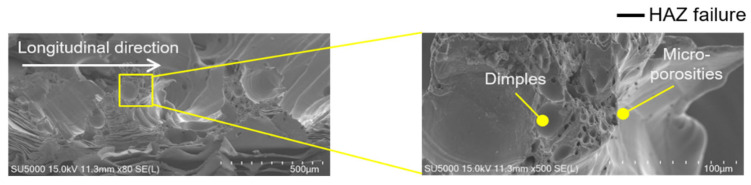 Figure 12