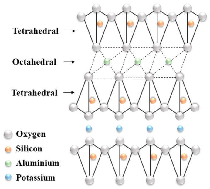 Figure 20