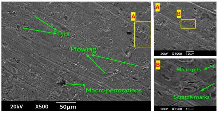 Figure 13