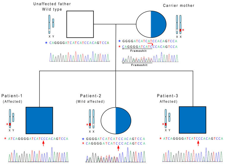 Figure 3