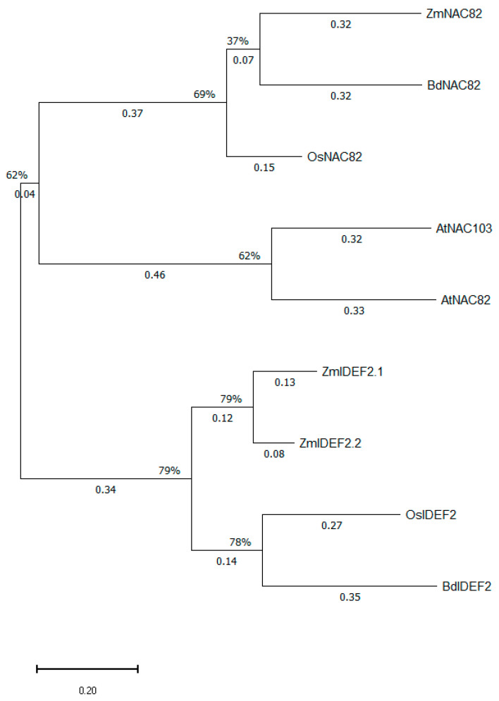 Figure 7