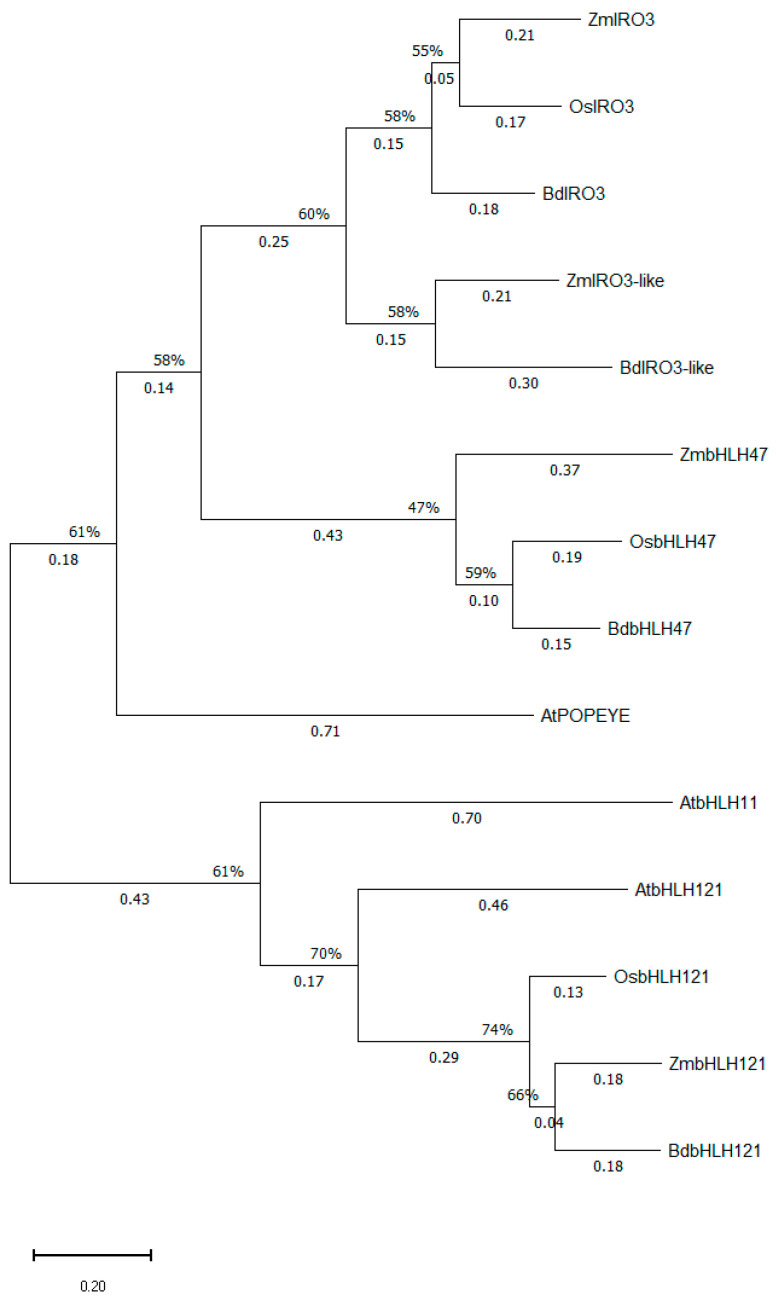 Figure 9