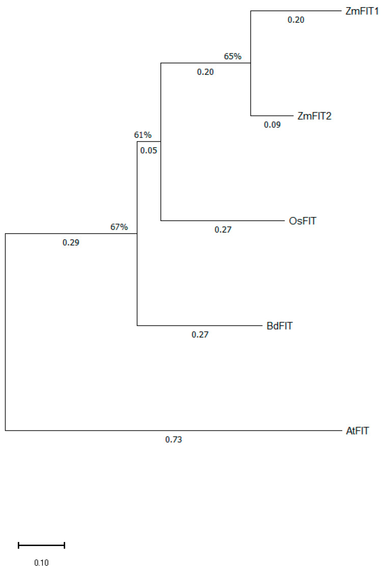 Figure 10