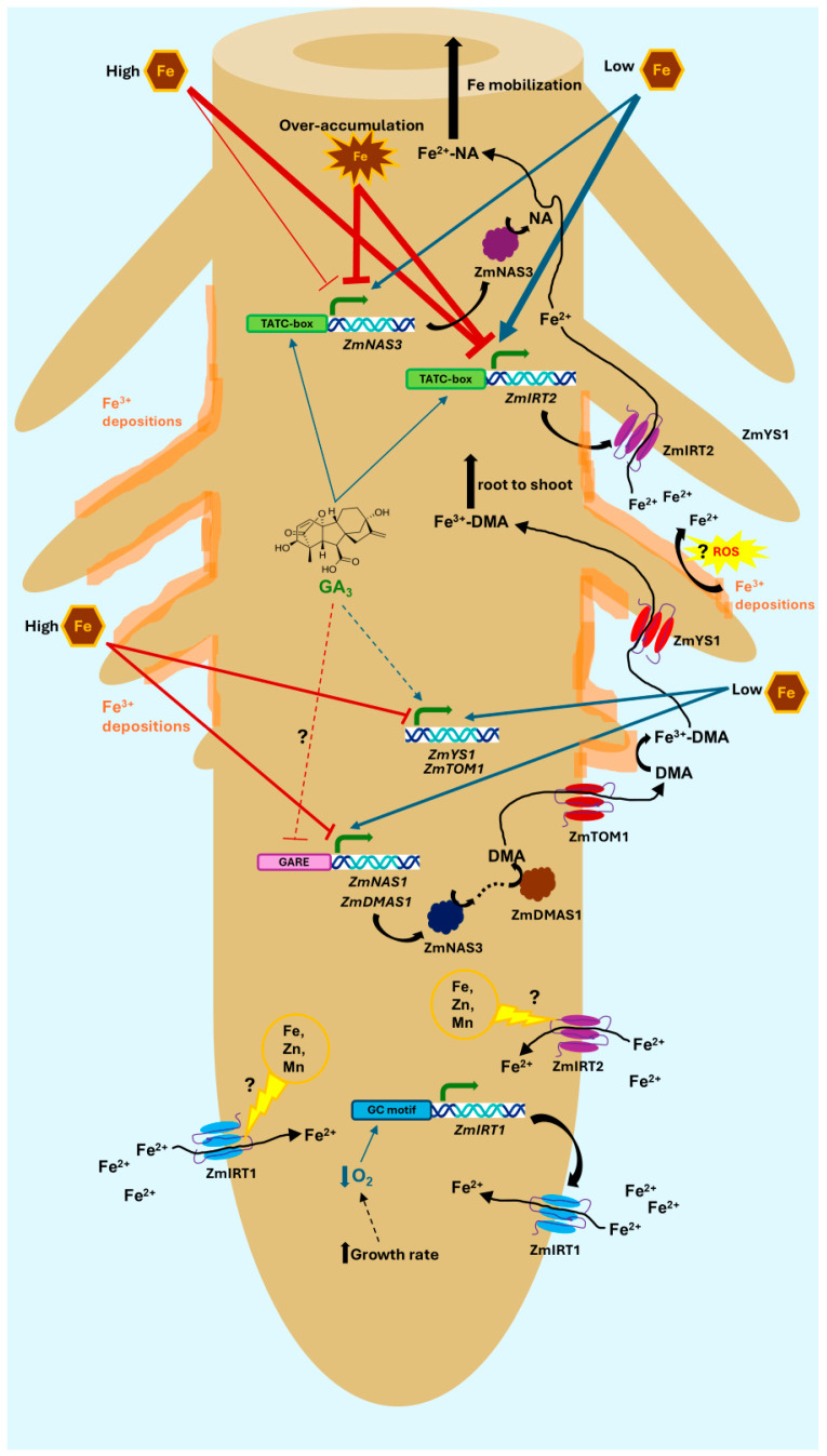 Figure 13