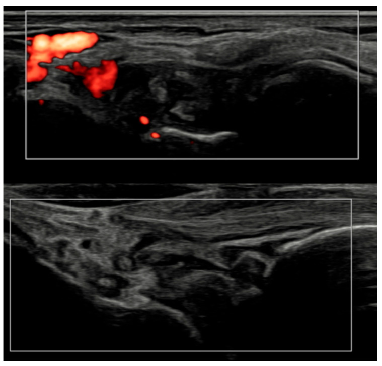 Figure 6