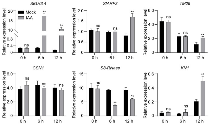 Figure 5
