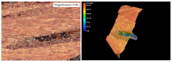 Figure 11