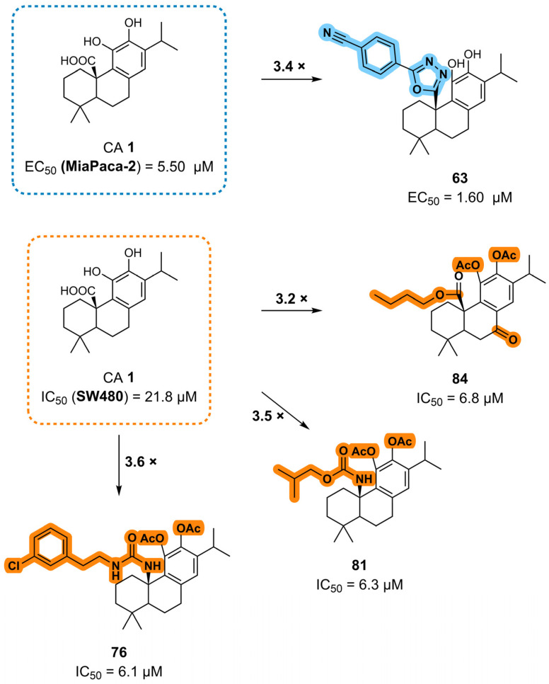 Figure 13