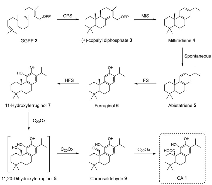 Figure 14