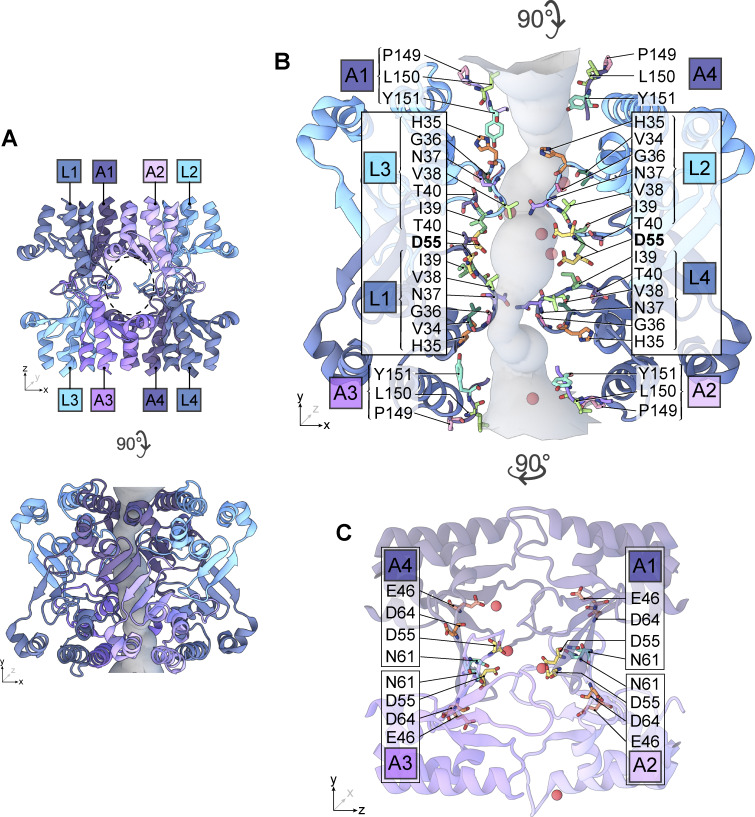 Figure 12