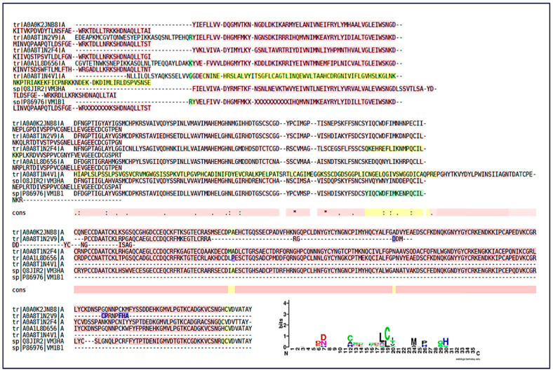 Figure 10