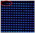 Figure 21