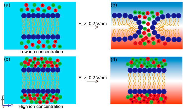 Figure 11