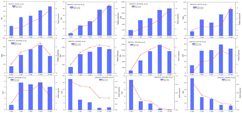 Figure 11