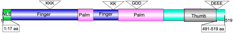 Figure 12