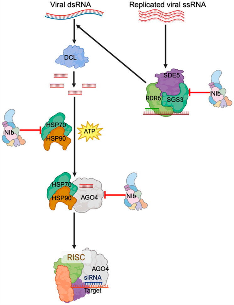 Figure 13