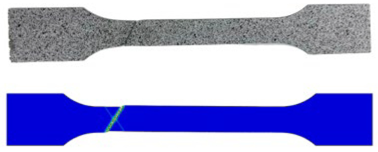 Figure 8