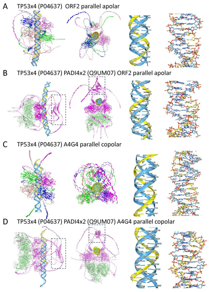 Figure 4