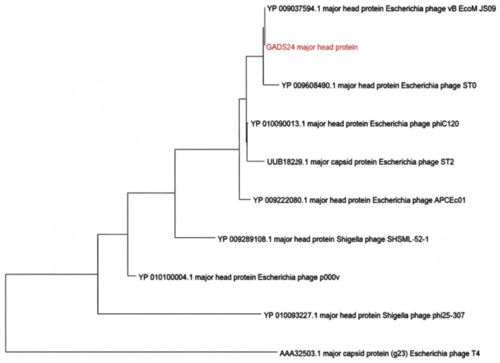 Figure 6
