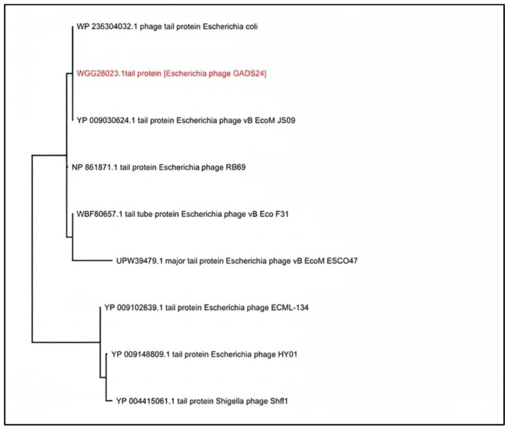 Figure 7