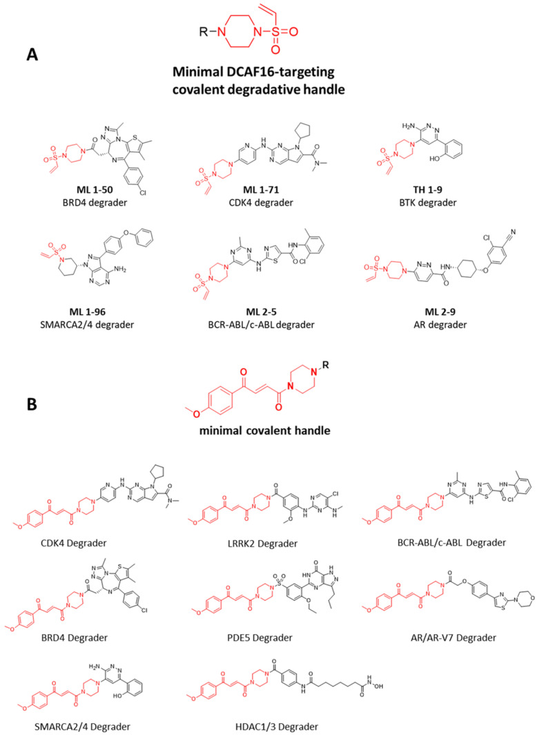 Figure 12