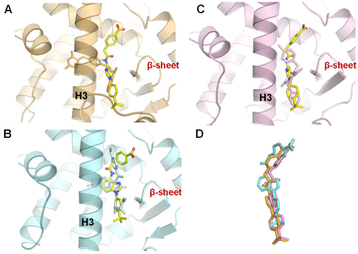 Figure 13