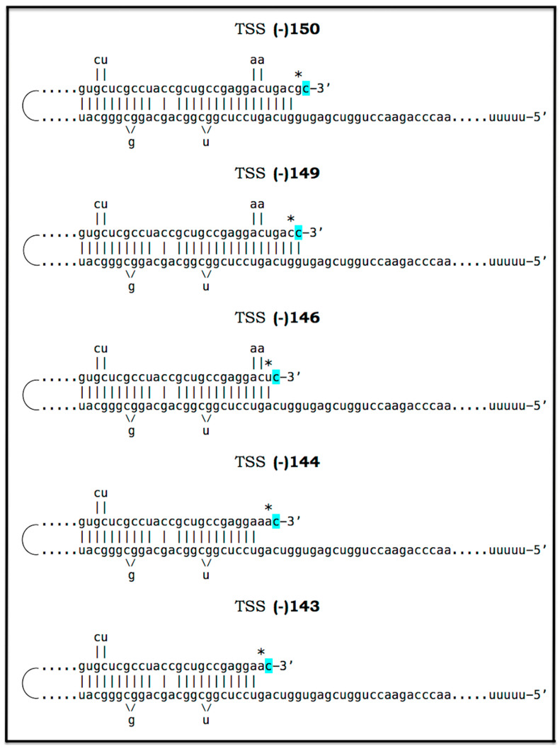 Figure 25