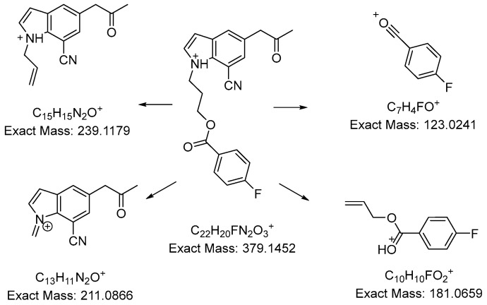 Figure 10