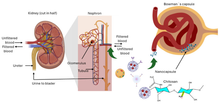 Figure 11