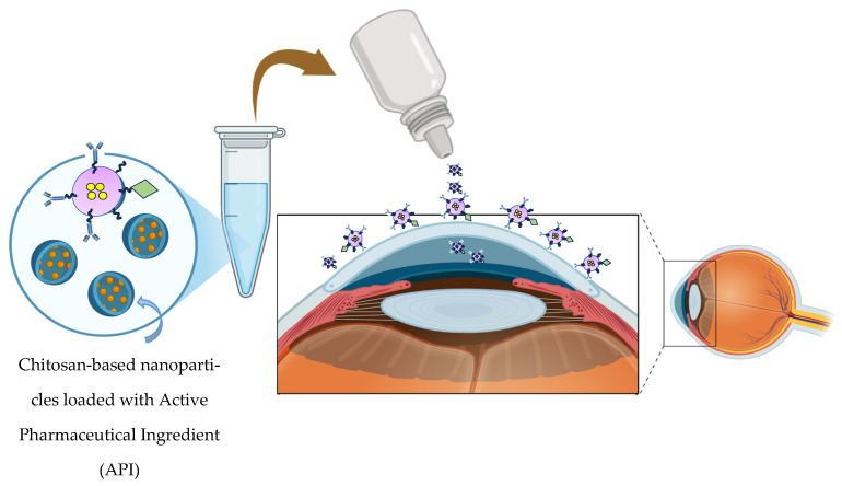 Figure 13