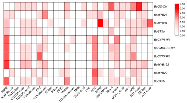 Figure 7