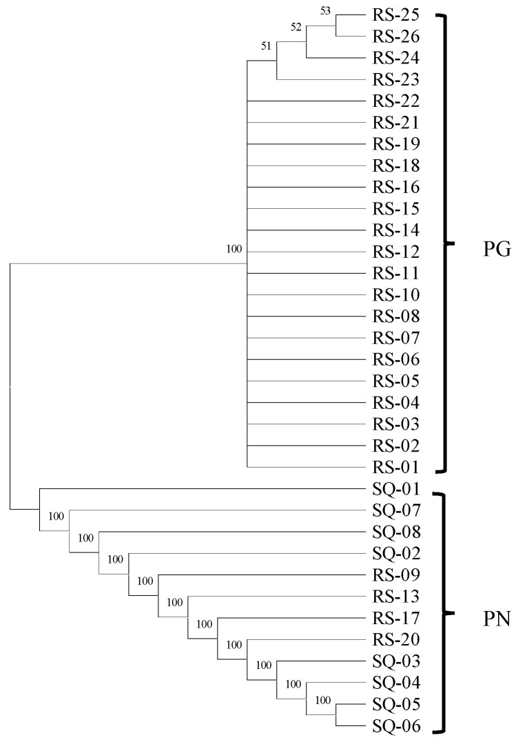 Figure 6
