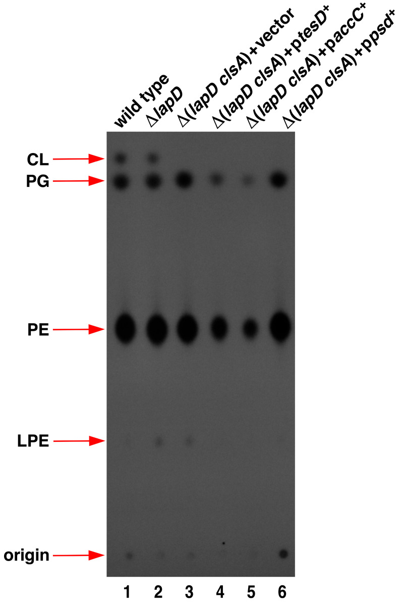 Figure 10