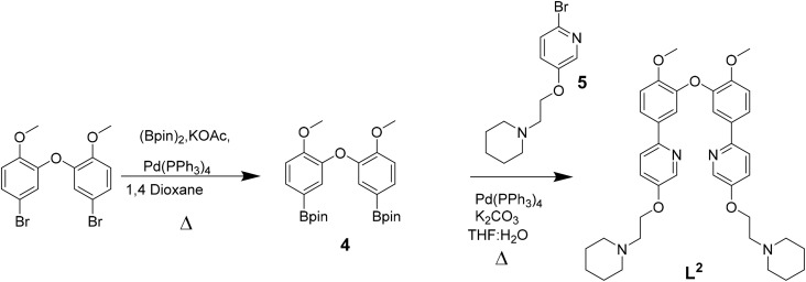 Scheme 2