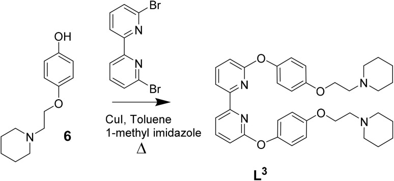 Scheme 3