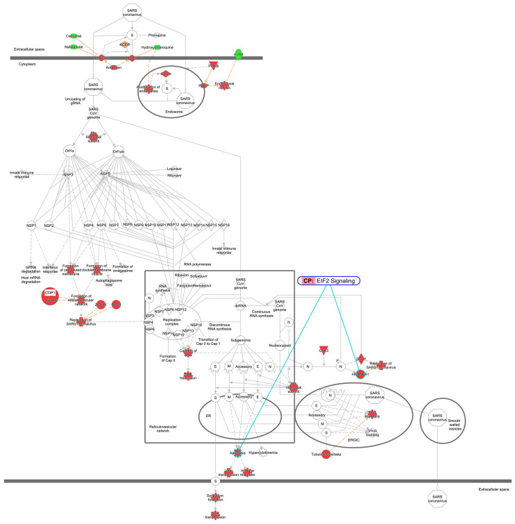 Figure 14