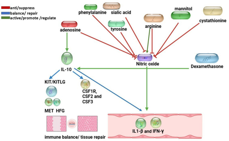 Figure 11
