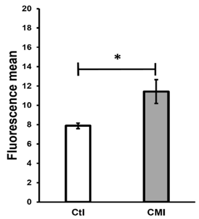 Figure 5