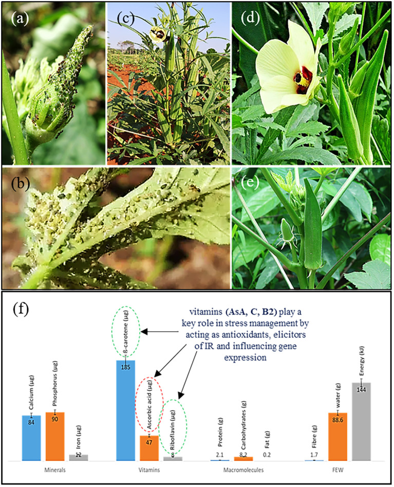 Figure 2