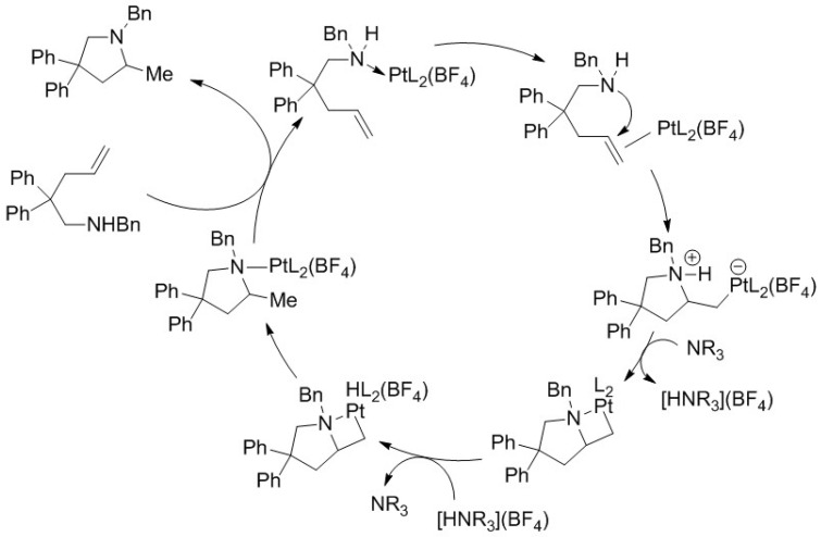 Figure 24