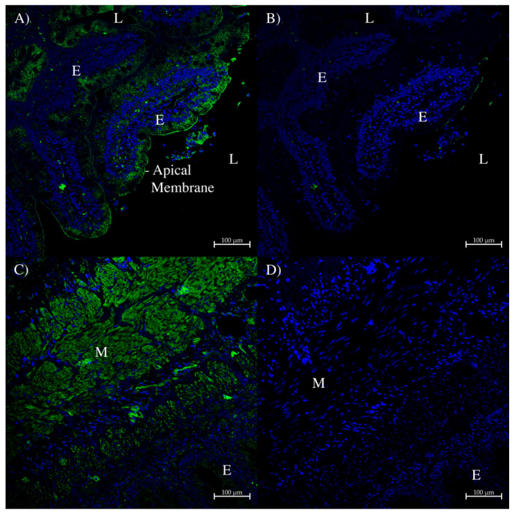 Figure 10