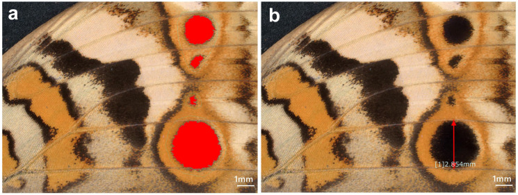 Figure 11