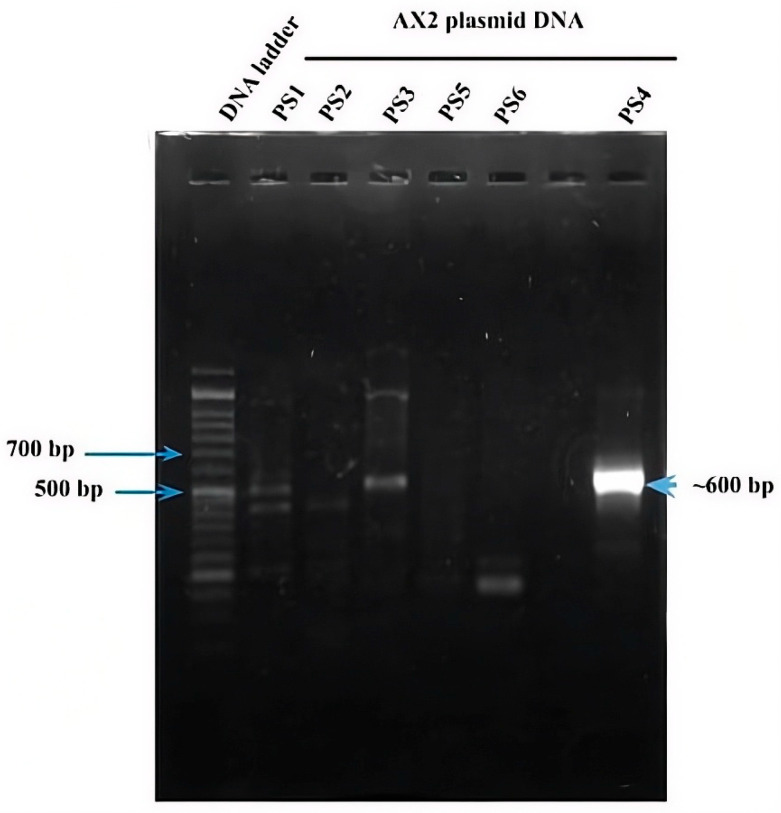 Figure 4