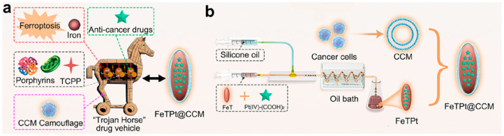 Figure 12