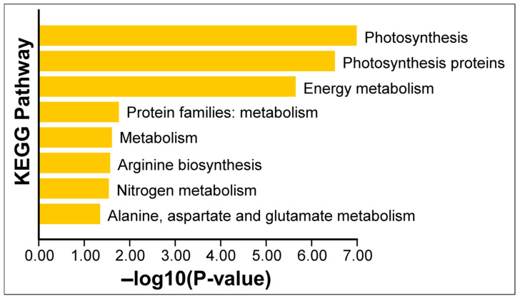 Figure 7