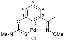 Figure 20